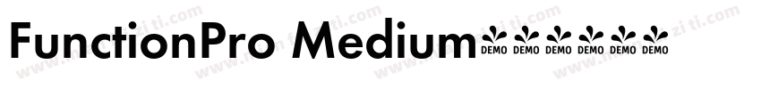FunctionPro Medium字体转换